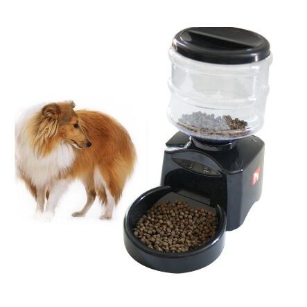 Buy timed automatic dog feeder for large dog Auto Pet Dry Food Dispenser at wholesale prices