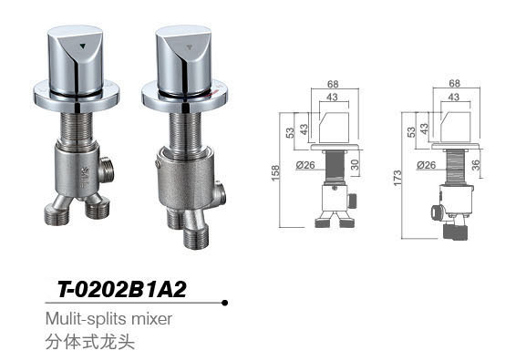 Bathtub mixer,Faucet,T-0202B1A2