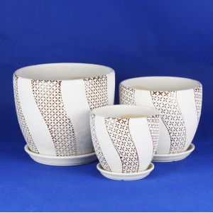 Versatile Ceramic Pots For Business Needs Stylish And Functional