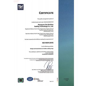 SHANGRAO RUICHEN SEALING CO.,LTD Certifications