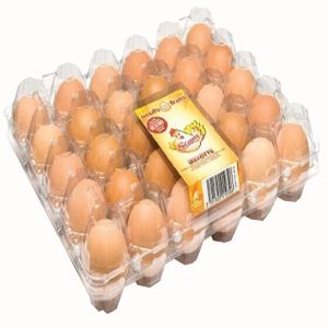 9pcs Stackable Plastic Egg Holder 152mm Square Incubator Egg Setting Tray