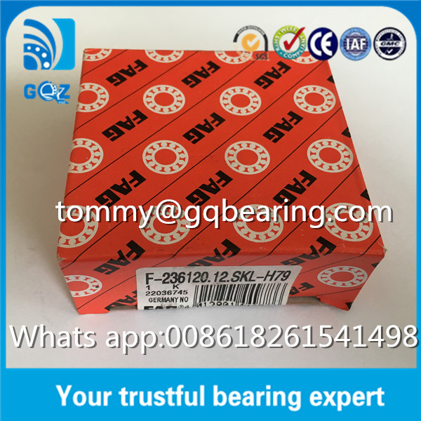 Germany Origin F-236120.12 F-236120.12.SKL BMW Diffenential Automotive Bearing