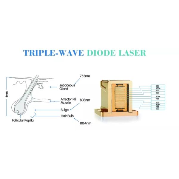 Painless Diode Laser Hair Removal Machine OEM ODM for Skin Tightening