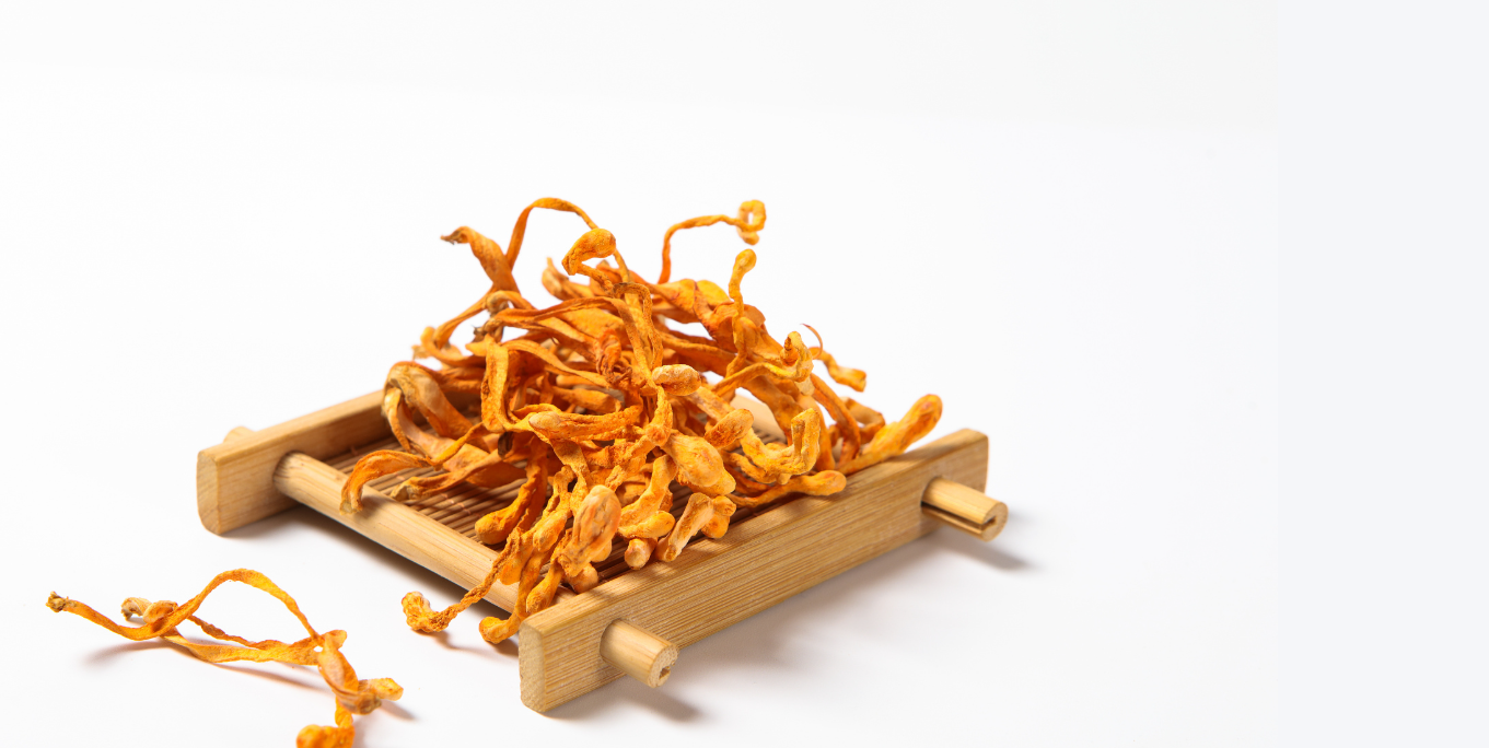High Quality Dry Cordyceps Militaris Extract Cordiceps Cordyceps Sinensis