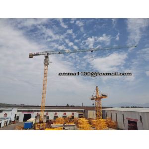 Quality QTZ100 6013 8t Topless Crane Tower Same Zoomlion with 1.6*2.8m Block Mast Section for sale