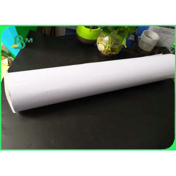 36inch 42inch 240g 260g 270g Semi - Glossy Matte Coated Inkjet RC Photo Paper 