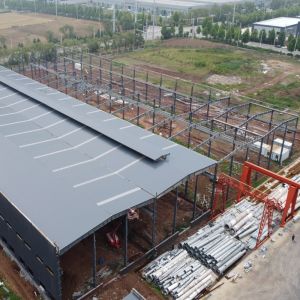 Prefab Steel Structure Warehouse with Light Steel Frame