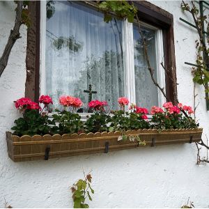 Black Powder Coated Retractable Plant Hanger Suitable for Indoor and Outdoor