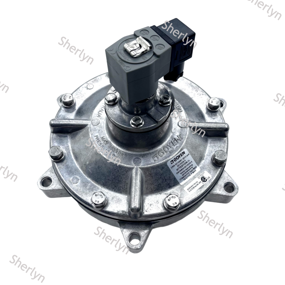 GOYEN CA76MM 3'' Inch Submerged Pulse Electromagnetic Valve CA76MM040-305