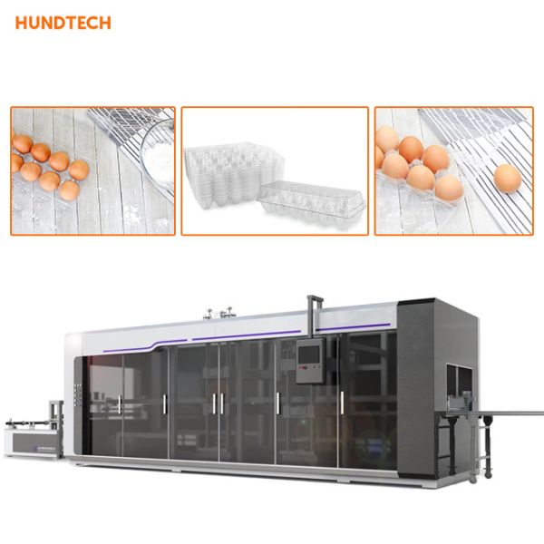 Buy HIPS PVC Egg Tray Moulding Machine Trifold Carton 720mm Length at wholesale prices