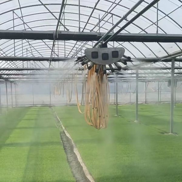 China Origin Multi-Span Film Greenhouse Solution
