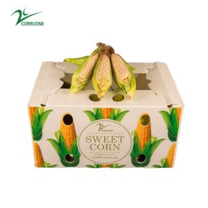 Sweet Corn Fruit Corrugated Boxes Banana Correx Packaging Boxes
