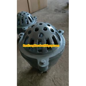 Quality EPDM resilient seal cast iron PN10 foot valve for sale