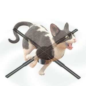 5mm Pixel Pitch 3D Hologram Projector for Human Hologram Projection using SD