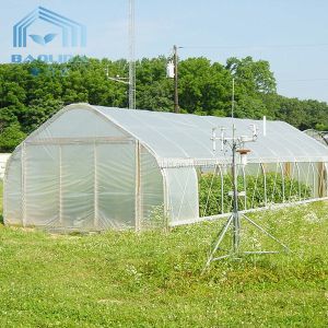Tunnel Single Span Greenhouse For Vegetables Growing Agricultural Farming