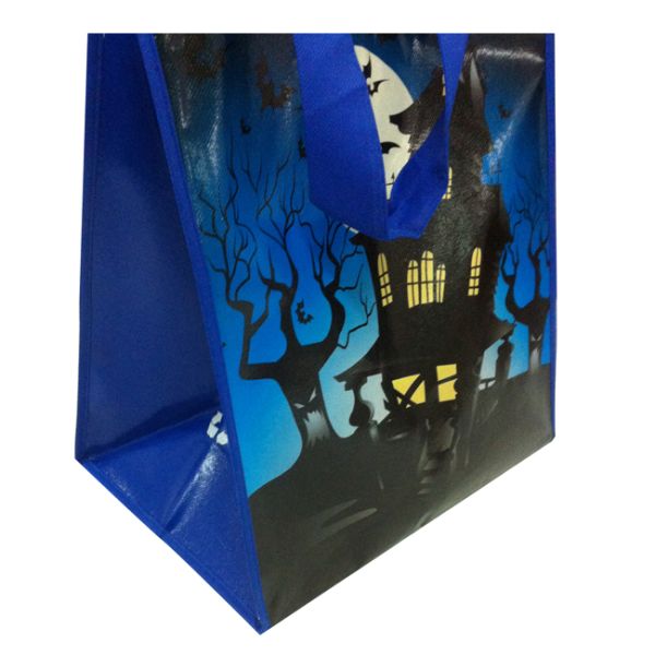 Freeuni Sedex audit China OEM &ODM Available Reusable Packaging Laminated PP Woven Bag