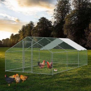 Galvanized Steel Frame 6mx4m Duck House Chicken Coop
