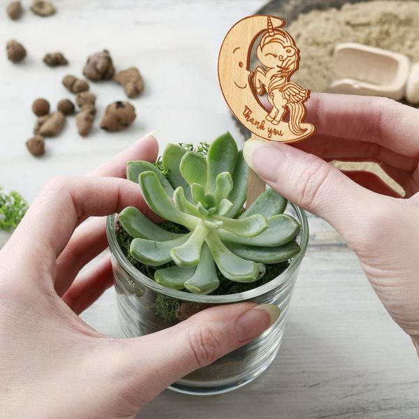 Succulent Tags Watch Me Grow Wooden Plant Label Garden Marker Plant Sign Succulent Labels for Mother's Day Baby Shower