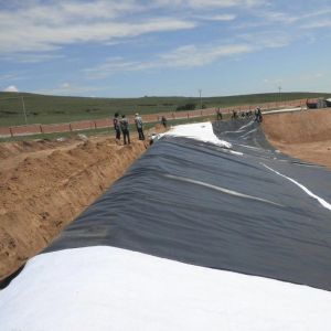 HDPE Geomembrane Waterproofing Liner / Pool Liner / Georid Road Construction