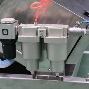 2 Chutes Beans Color Sorter Lentil Separating Machine for Sesame Flax Seed Rice