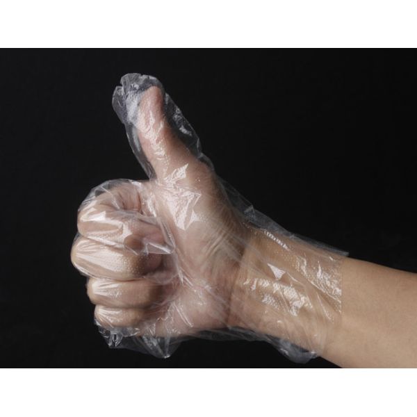 Clear Disposable Poly Gloves Powder And Latex Free / Plastic Catering Food Grade Film Gloves