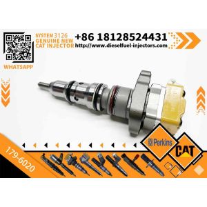 Excavator Injector BN1830693C3 20R-0760 179-6020 232-1173 BN1830691C1 AP63811BI
