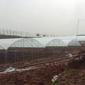 Rain Shelter Tunnel Plastic Greenhouse 80mic 100 Micron 200micron