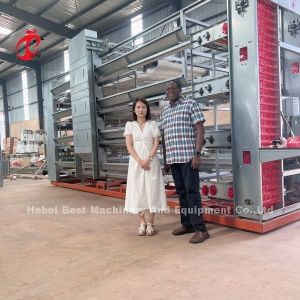 6 Tiers Chicken Cage Broiler Poultry Equipment for Optimal Space Utilization and