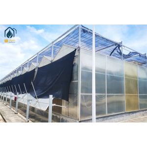 8m 9.6m 12m Span Width Hydroponic Greenhouse Hot Galvanized Steel Pipe