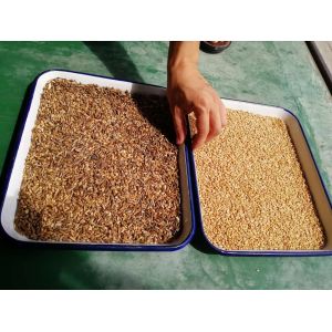 CCD Camera Rice Color Sorter Intelligent Sorting Machine For Agriculture