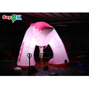 Pink 4m Inflatable Cartoon Characters Advertising Dinosaur Damp Proof
