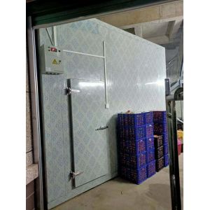 Energy Efficient Cold Room With High Performance PU Panels
