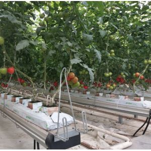 Indoor or Greenhouse Planting Made Easy with Food Grade PVC Hydroponic Growing