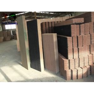 Quality cellulose pad Suppliers, India Supplier of cellulose pad for sale