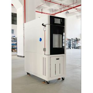 Remote Controlled Automotive Temperature Humidity Test Chamber for Car