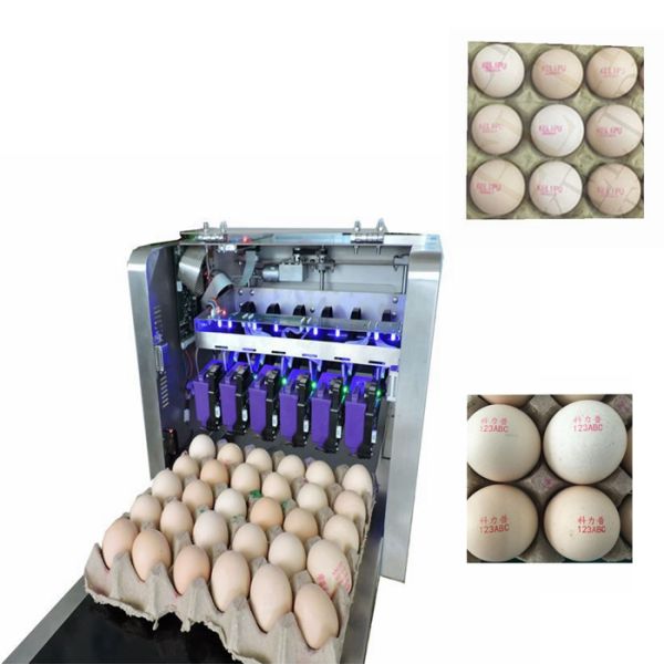 Electric Egg Stamping Machine 600 DPI High Resolution With 1 - 4 Printing Lines