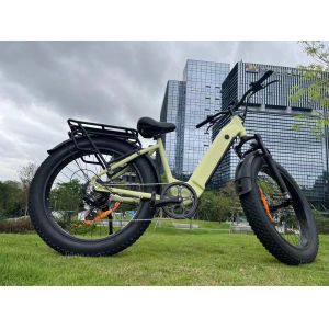 EB11 26"X4.0 Step Through Fat Tire Electric Bike 250/750/1000w