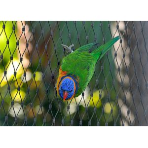 304 316 316L Stainless Steel Animal Enclosure Mesh Netting Aviary Zoo Mesh Fence