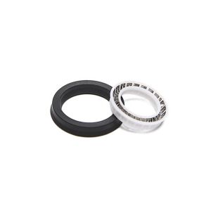 Spring Energized Oil Lip Seal Chemical Resistance Long Duration For Automotive