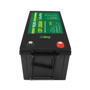 50Ah 150Ah 200Ah 300Ah 100ah 12v Lifepo4 Deep Cycle Battery With Built-In Bms