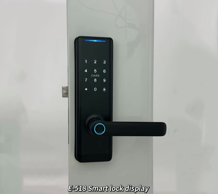 High Security Standard Electronic Electric Tuya App Smart Lock Digital Automatic Biometric Fingerprint Door Lock ForHome