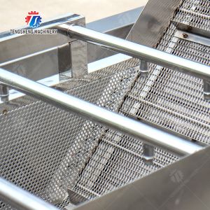 customized blanching machine Fruit Orange Vegetable Leaves Vegetables Carrots