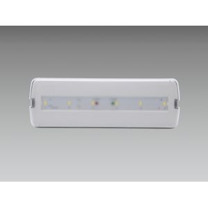 IP42 Waterproof Emergency Light Fixture ABS Recessed Surface Wall Recessed