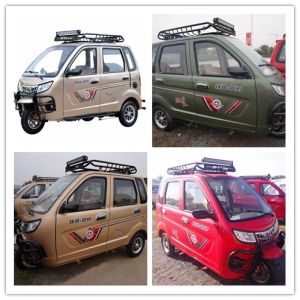 200w Enclosed Rear Drum Brake 65KM/H Cabin Tricycle