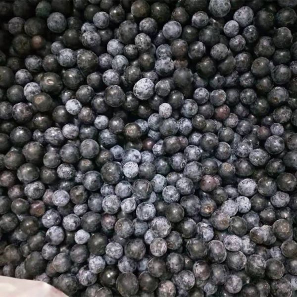 Wholesale Chinese Iqf Frozen Berries IQF Frozen Blueberry for Export with Good Price Blue Berry