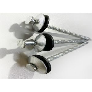 Standrad Size Galvanized Roofing Nail With Washer , Umbrella Head Nails
