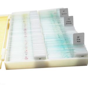 School Teaching 100 Pieces Plastic Box OEM Botany Microscope Slides