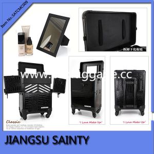 SATCMC009 Hot style patterns salon beauty case on wheels
