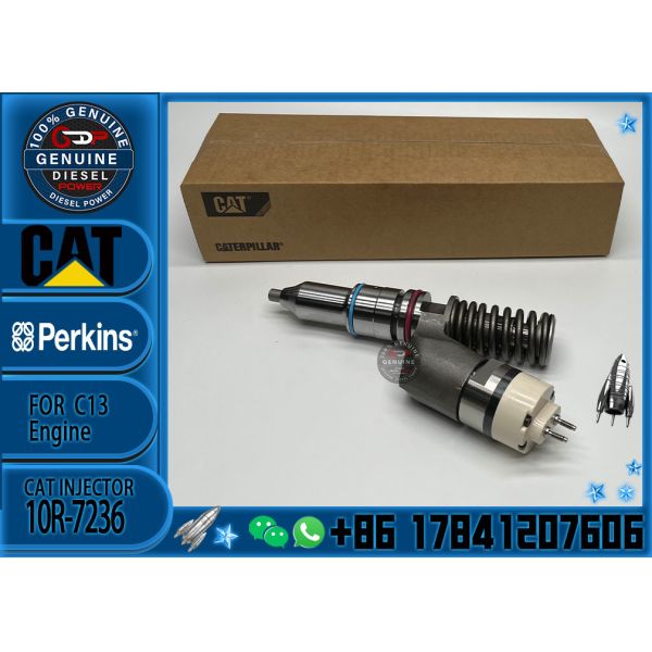Diesel Fuel Common Rail Injector 2490705 10R7236 249-0705 10R-7236 For CAT C13