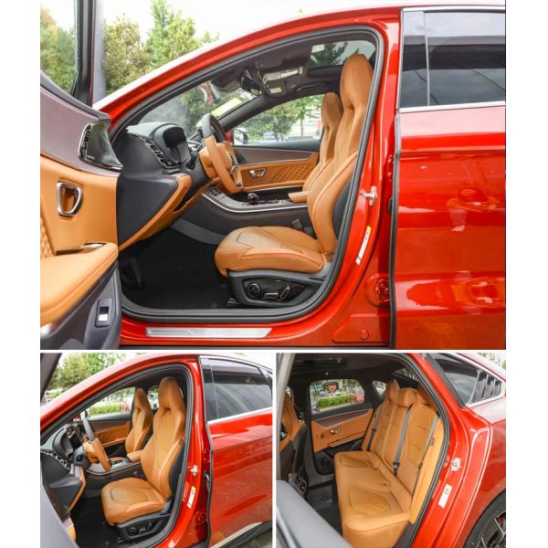 BYD Hanev Champions Edition Pure Electric Vehicle and Long Endurance for Your B2B Needs